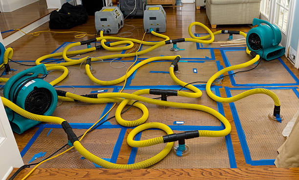 Professional Flood Damage Restoration technician working in Buford, WY